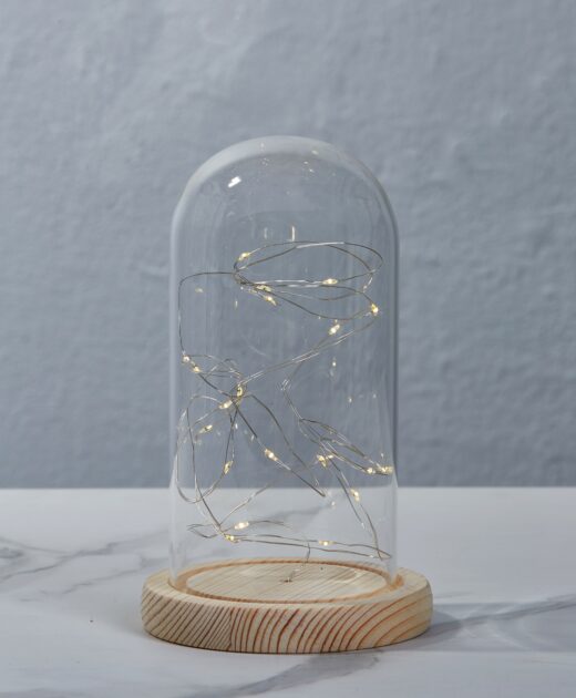Glass Dome Bell Jar with Fairy Lights 2