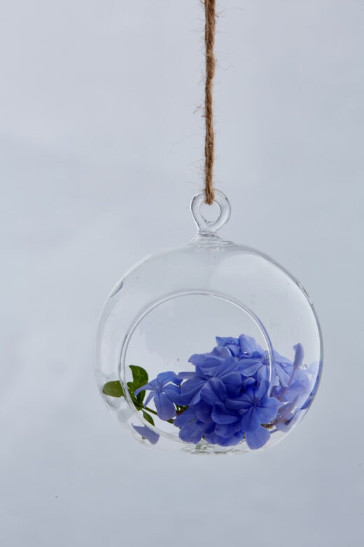 Hanging Glass Domes 1
