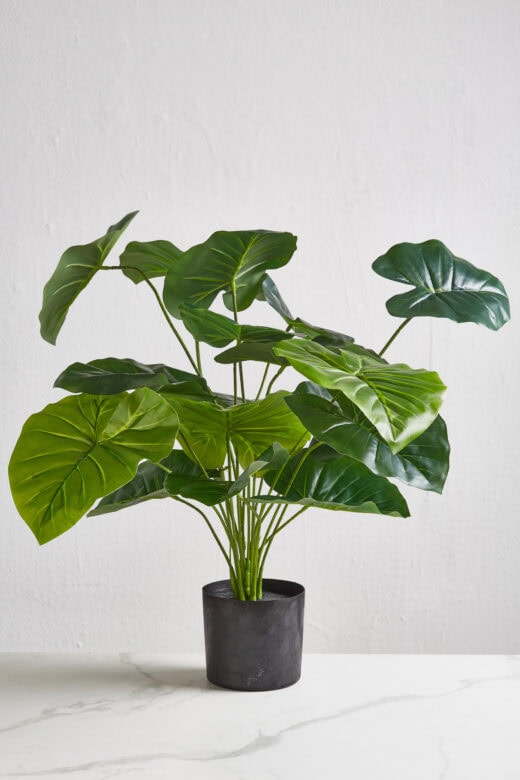 Faux Elephant Ear Plant
