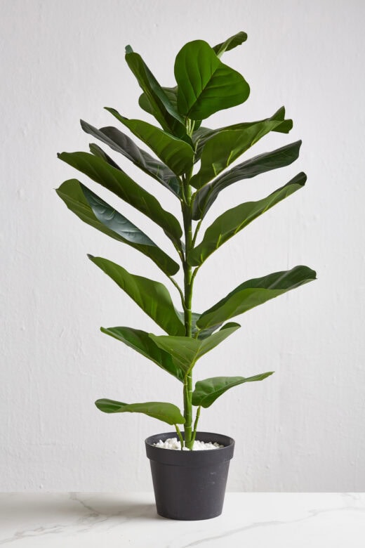 Faux Fiddle Leaf Plant